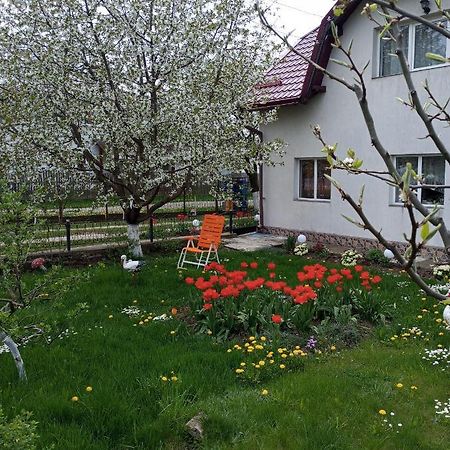 Casuta Bunicilor Villa Dorna Cindrenilor Exterior photo