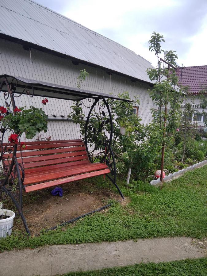 Casuta Bunicilor Villa Dorna Cindrenilor Exterior photo