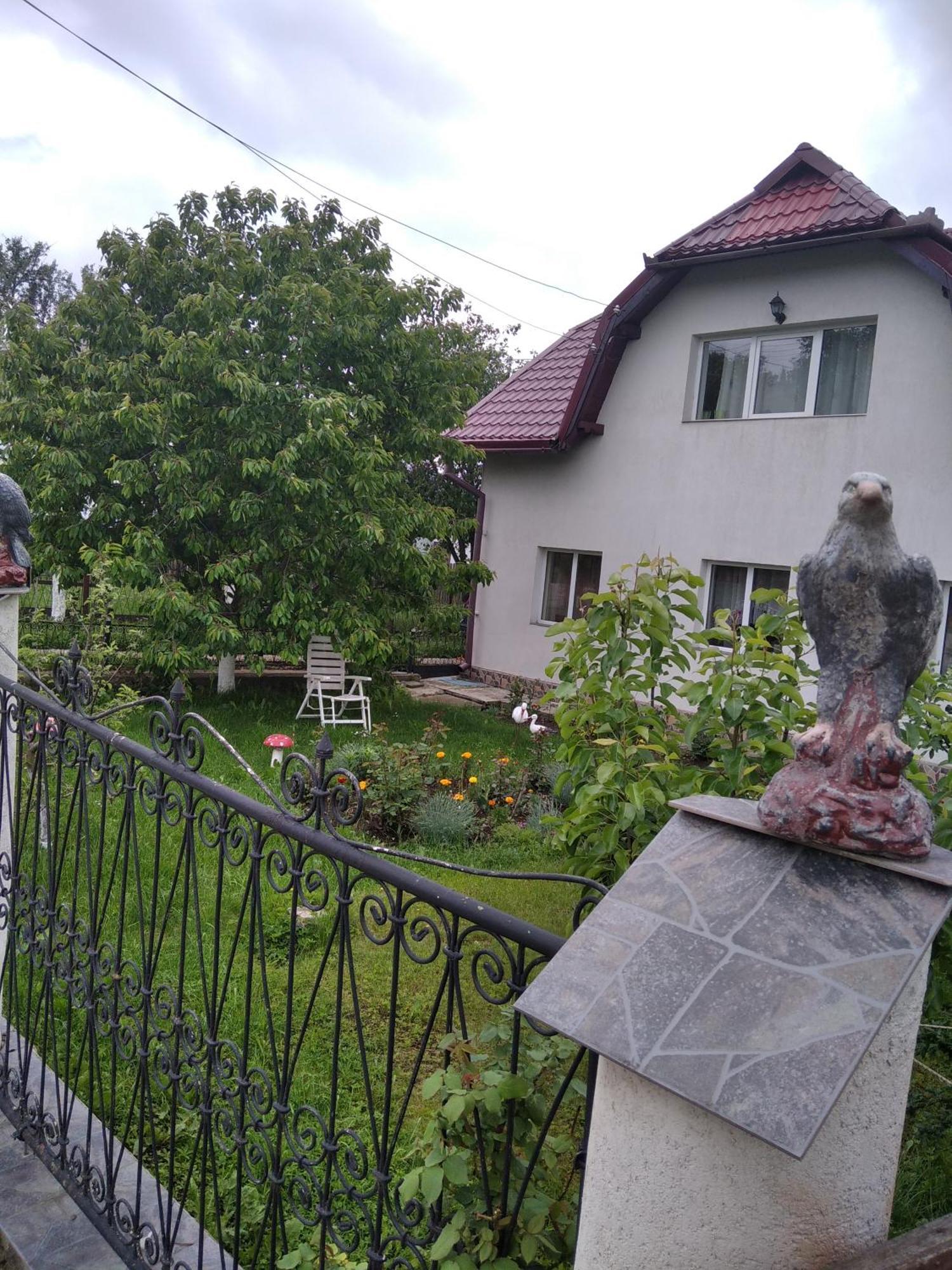 Casuta Bunicilor Villa Dorna Cindrenilor Exterior photo